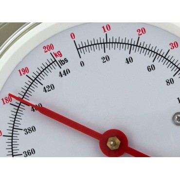 Waga hakowa sprężynowa na...